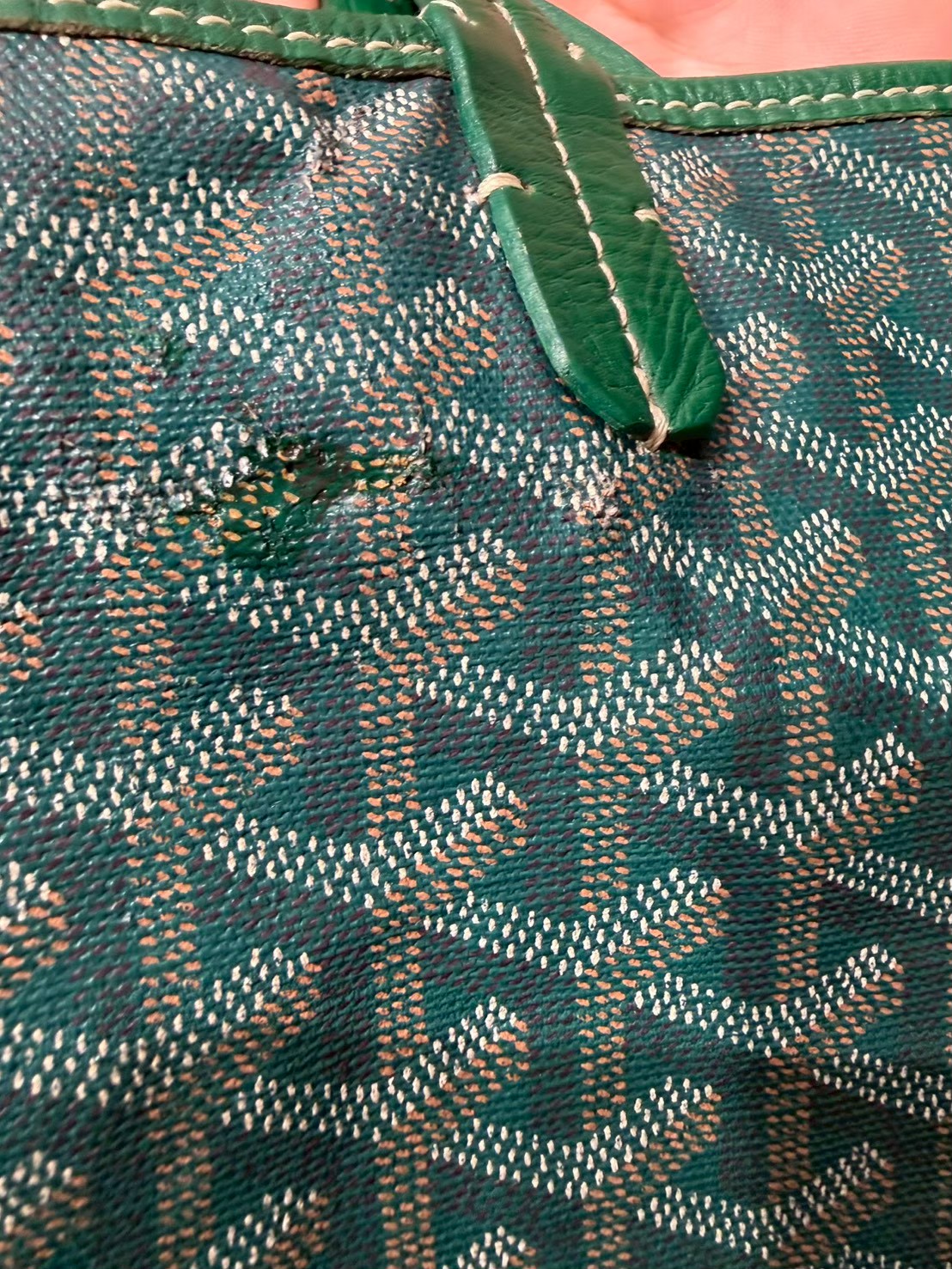 GOYARD ゴヤール サンルイPM グリーン - 画像 (12)